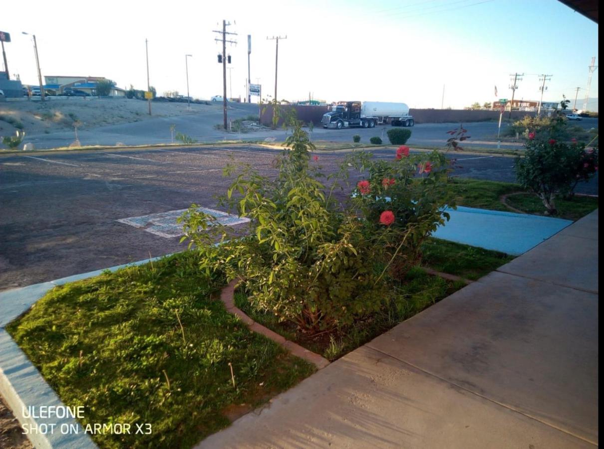 Willcox Extended Inn And Suites Екстер'єр фото